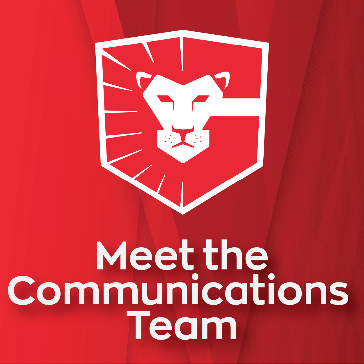  Meet the Communications Team